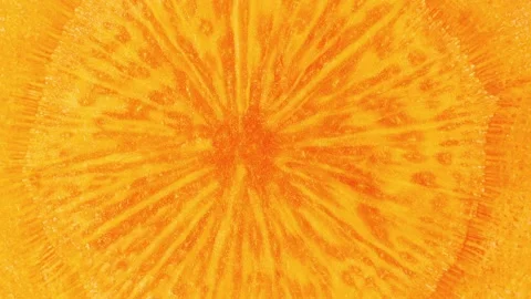 Carrots orange close-up 스톡 동영상 166697338
