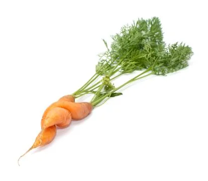 Carrots. Stock Photos