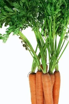 Carrots Stock Photos