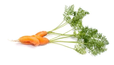 Carrots. Stock Photos