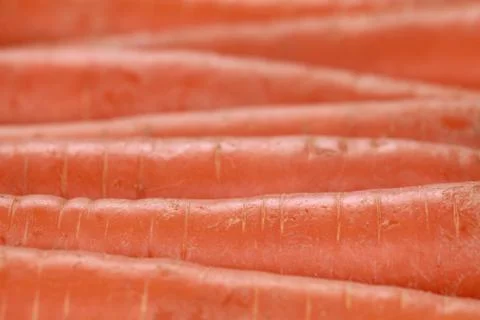 Carrots Stock Photos