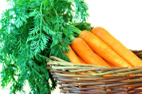 Carrots Stock Photos