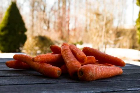 Carrots Stock Photos