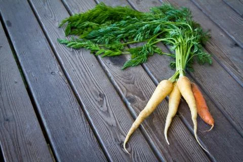Carrots Stock Photos