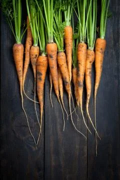 Carrots Stock Photos