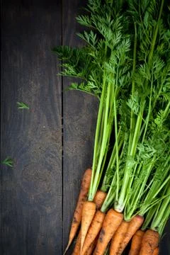 Carrots Stock Photos