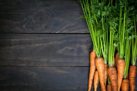 Carrots Stock Photos