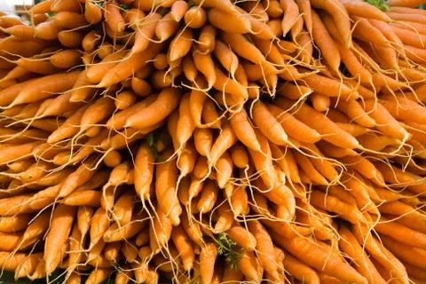 Carrots Stock Photos