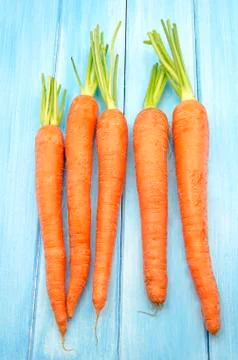 Carrots Stock Photos
