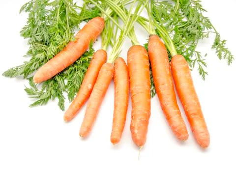Carrots Stock Photos