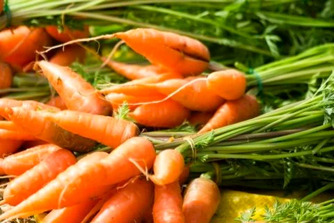 Carrots Stock Photos