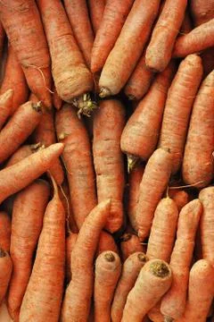 Carrots Stock Photos