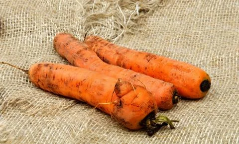 Carrots Stock Photos