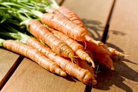 Carrots Stock Photos