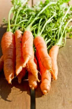 Carrots Stock Photos