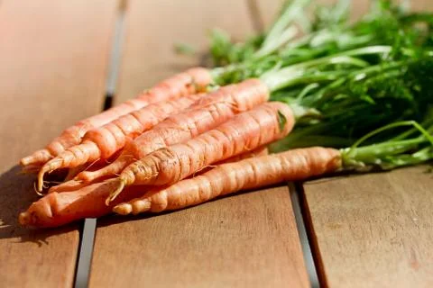 Carrots Stock Photos