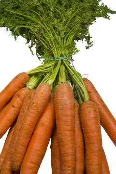 Carrots Stock Photos