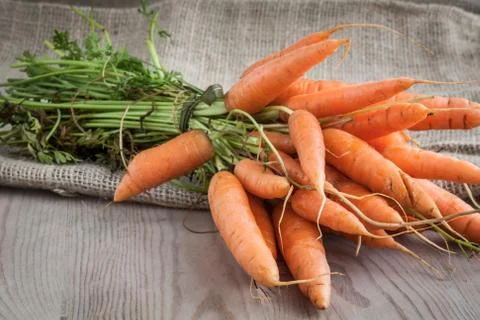 Carrots Stock Photos