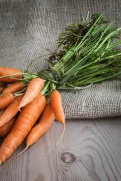 Carrots Stock Photos