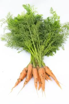 Carrots Stock Photos