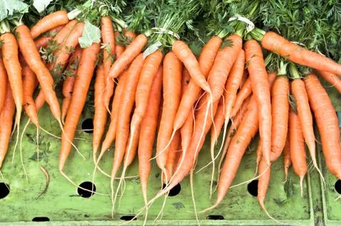 Carrots Stock Photos