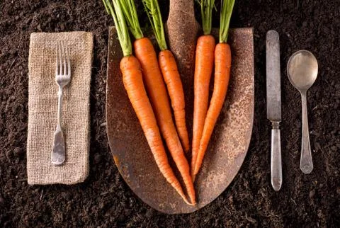 Carrots Foto stock