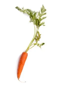 Carrots Foto stock