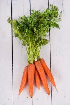 Carrots Stock Photos
