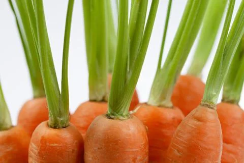 Carrots Stock Photos