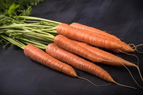 Carrots Stock-Fotos