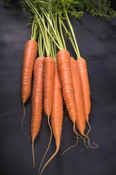 Carrots Foto stock