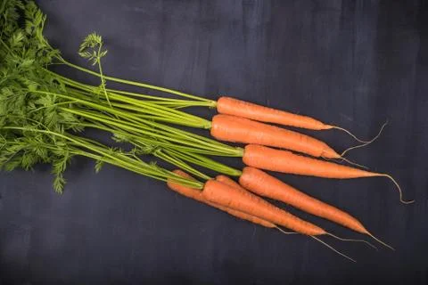 Carrots 写真素材