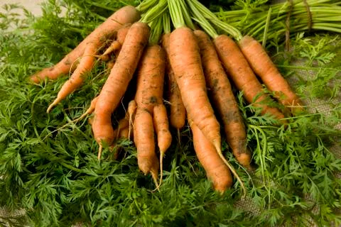 Carrots Stock Photos