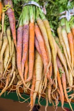 Carrots Stock Photos