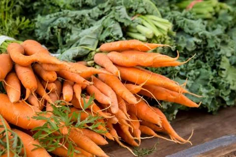 Carrots Foto stock