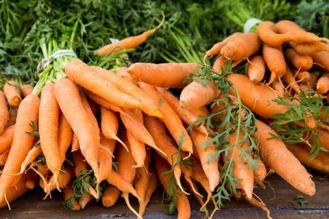 Carrots Stock Photos