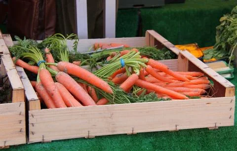 Carrots. Foto stock