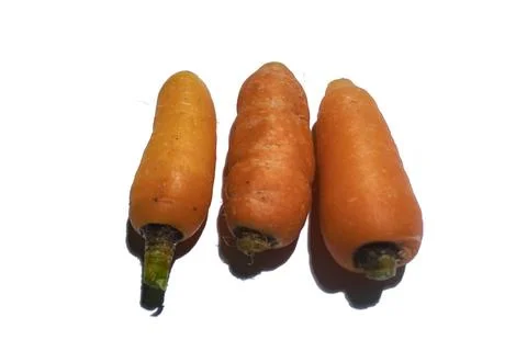 Carrots Stock Photos