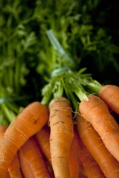 Carrots Stock Photos