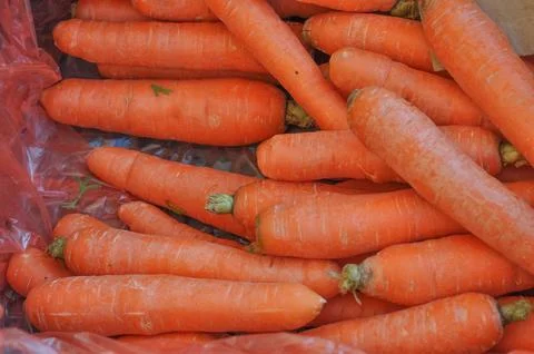 Carrots Stock Photos