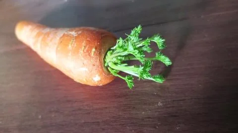 The carrots Stock-Fotos