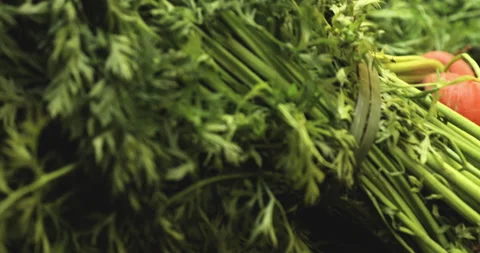 Carrots piled up Stock Footage 137284395