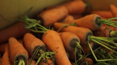 Carrots in the shop Stock Footage 1015727