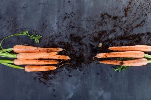 Carrots with soil Foto stock