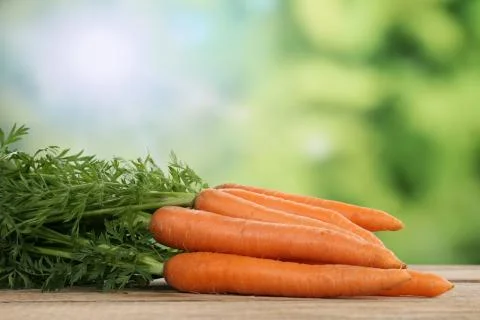 Carrots in summer with copyspace Stock Photos