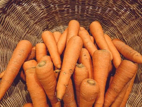 Carrots in the vegetable basket. Stock Photos
