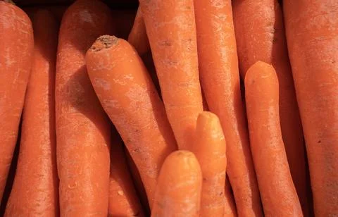 Carrots - vegetables Stock Photos