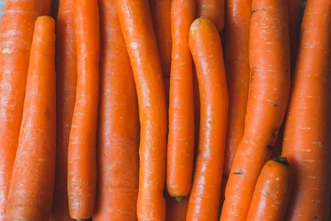 Carrots (vertical) Stock Photos