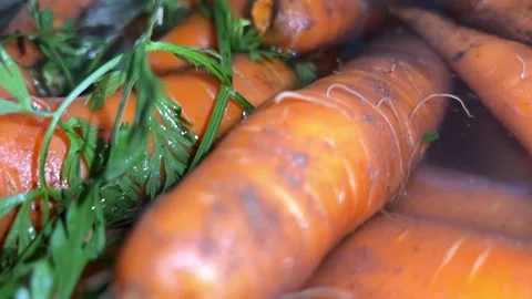 Carrots washed in water Stock-Footage 226190379