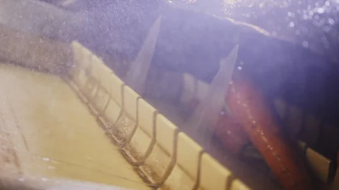 Carrots washed with water at vegetable processing plant Stock Footage 122016003
